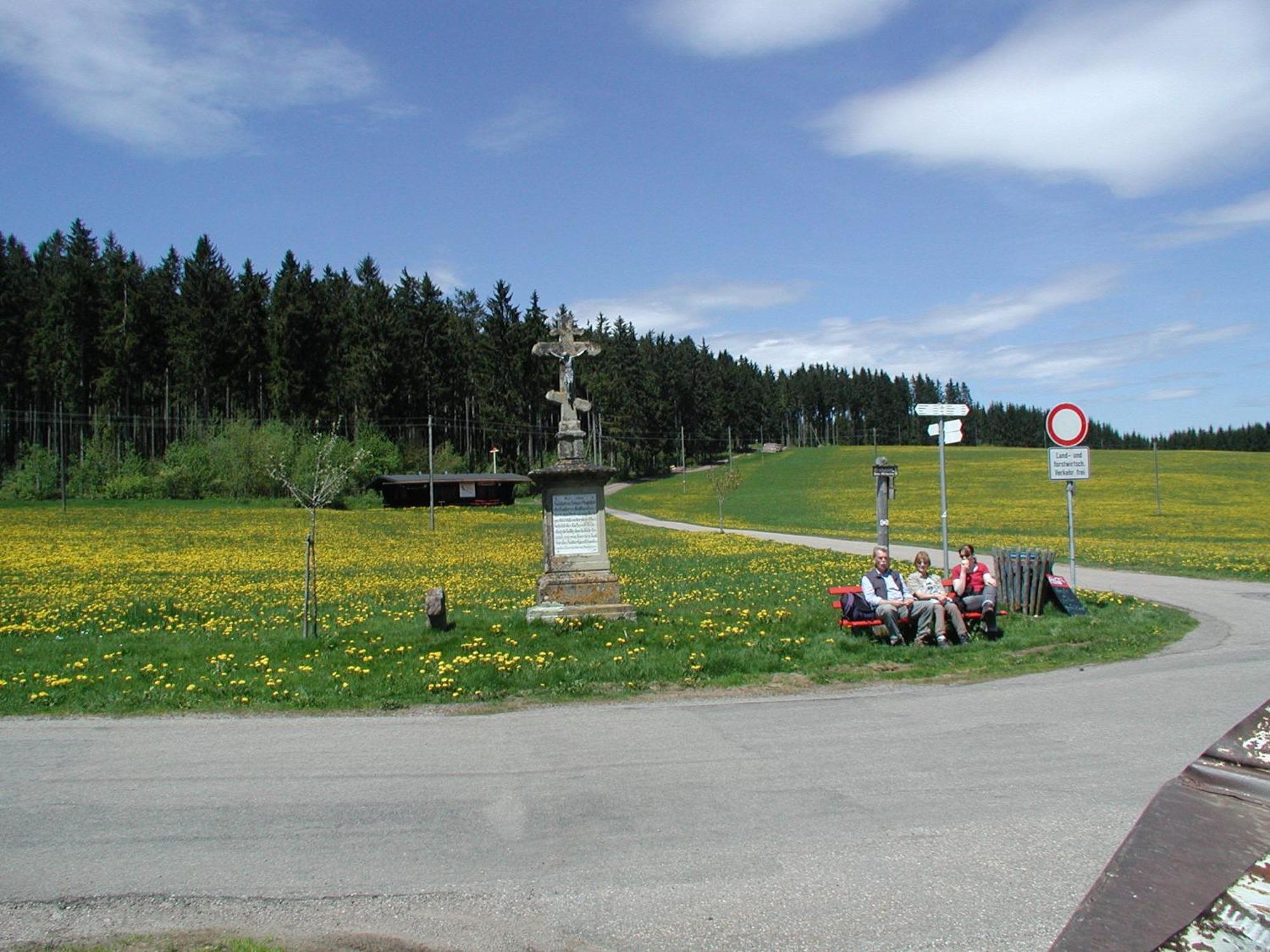 Cafe-Pension Feldbergblick Titisee-Neustadt Exterior photo